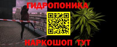 гашик Заводоуковск