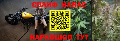 Альфа ПВП Донской