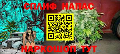 гашик Заводоуковск