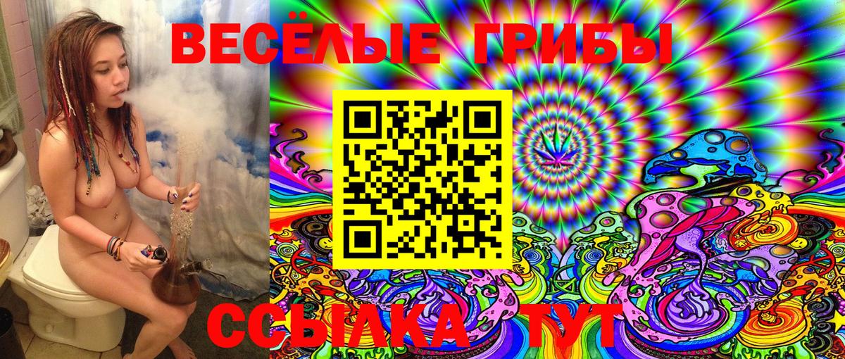 Псилоцибиновые грибы Psilocybine cubensis Мичуринск