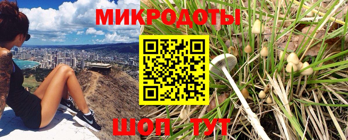 Мичуринск  Псилоцибиновые грибы прущие грибы  Вход с VPN 